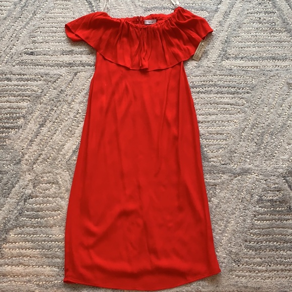 NEW Flynn Skye Summer Dress - Picture 3 of 4